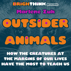 OUTSIDER ANIMALS: How the Creatures at the Margins of Our Lives have the Most to Teach Us