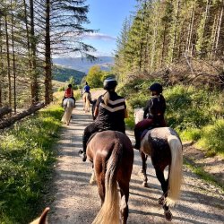 Horse Riding Peebles (Intermediate-Advanced)