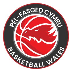 Basketball Wales Summer Performance Camp - with Transforming Basketball