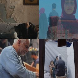 HFF2026 // ALL EYES ON  // SHORTS + Q&A WITH AUTHORS