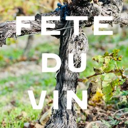Fête du Vin, A Harvest Festival.