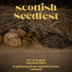 Common Grains Seedfest: Summer 2026