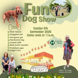 Fun Dog Show - raising money for Animals In Need