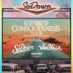 SoDown w/ WonkyWilla and Oddly Eazy [Scenes of Consciousness Tour][TICKETS HAVE MOVED TO DICE]