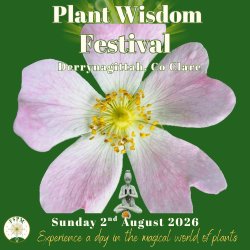 Poster for the Plant Wisdom FESTIVAL on Sunday, August 2, 2026