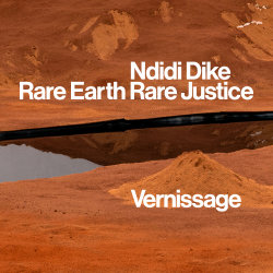 Vernissage: Ndidi Dike – Rare Earth Rare Justice