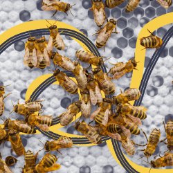Grow Your Hive: smarter scaling, no restructuring