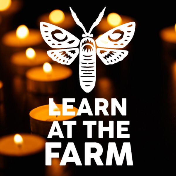 Family Willow Lantern Making [Learn At The Farm]