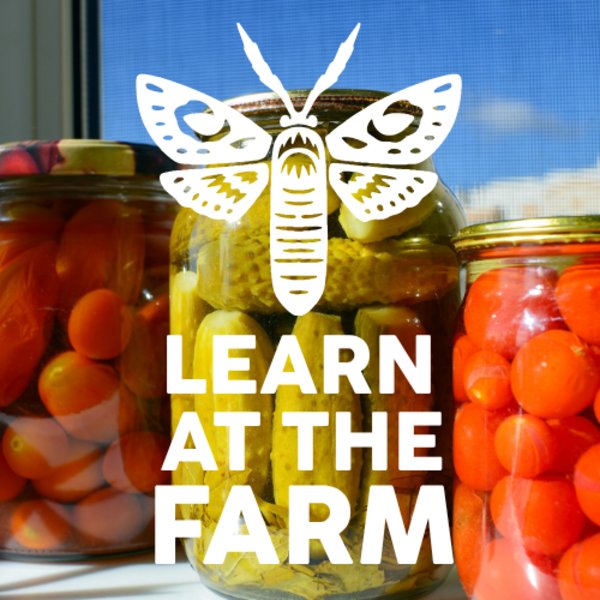 The Art of Preserving and Pickling [Learn At The Farm]