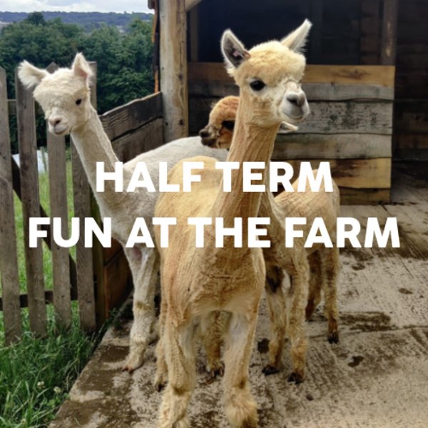 HALF TERM SEN Friendly Animal Tour