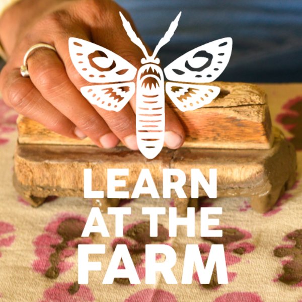 Block Print Christmas Cards [Learn At The Farm]