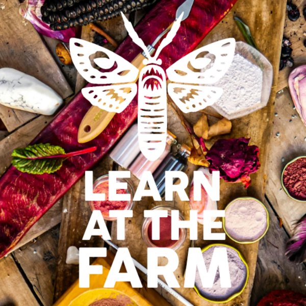 Make Natural Inks, Charcoal and Art Pens [Learn At The Farm]