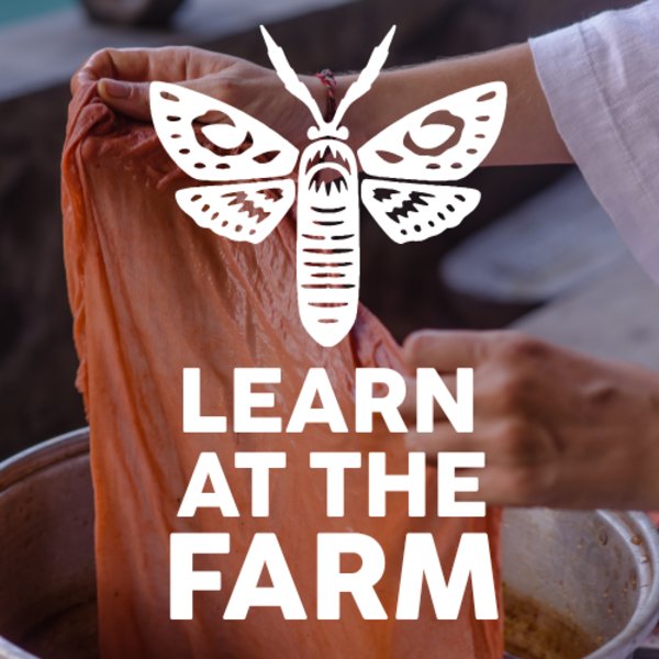 Discover Natural Dyes [Learn At The Farm]