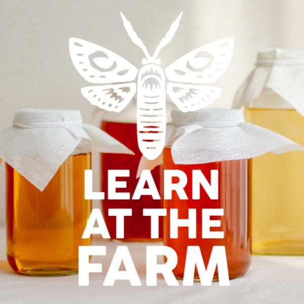 Kombucha, Sourdough & Beyond [Learn At The Farm]