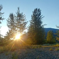 Heart Gardens Retreat: Art, Nature and Rest