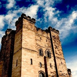 Cake Trails: Royal Punishment and Pageantry in Newcastle