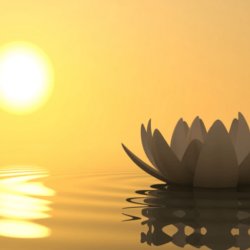 Yoga Nidra