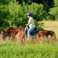 7 in Heaven Singles Horseback 11am Session Ages 20's 30's 40's Sun 11/8/26
