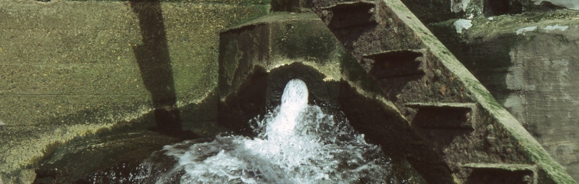 FOLD III: a walking & writing workshop with FIELDNOTES