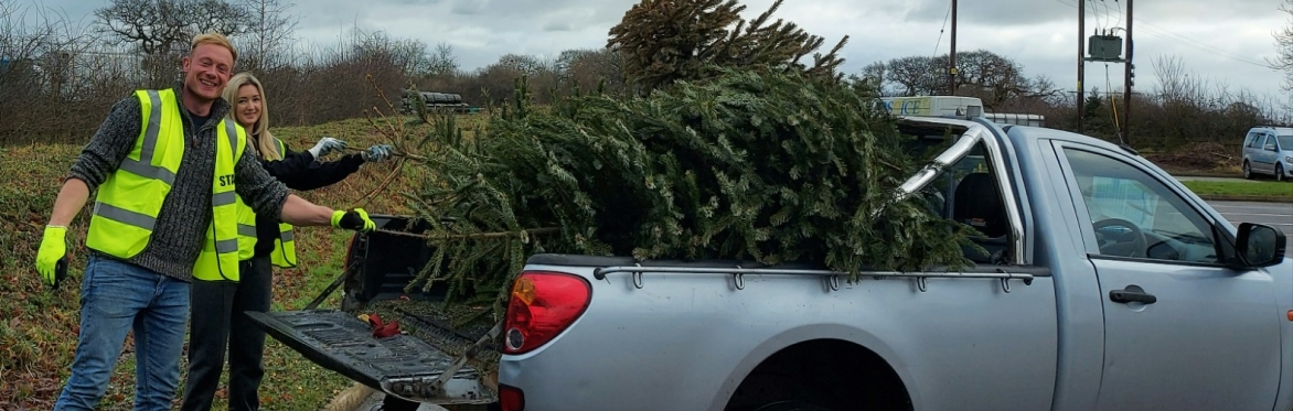 Christmas Tree Collection