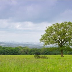 Open grassland with a view of the London skyline.