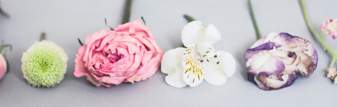 SOLD OUT Spring into Action: Photography Storytelling Workshop