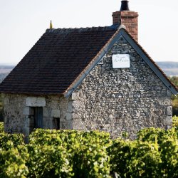 MASTERCLASS: SANCERRE, The Truest Story of a Most Special Wine {MORRIS}