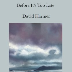 David Harmer - Before It's Too Late online launch