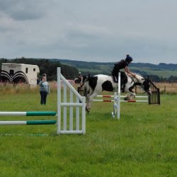 Show Jumping Training with Becca Peacock