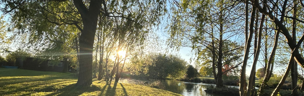 Spring Calm at the Shift Retreats
