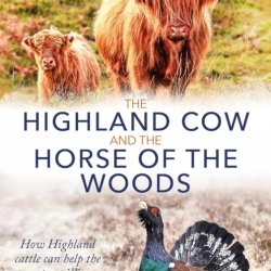 Picture of Highland Cow and Capercaille