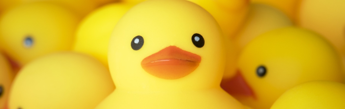 Duck Race 2024 - SPONSOR A DUCK