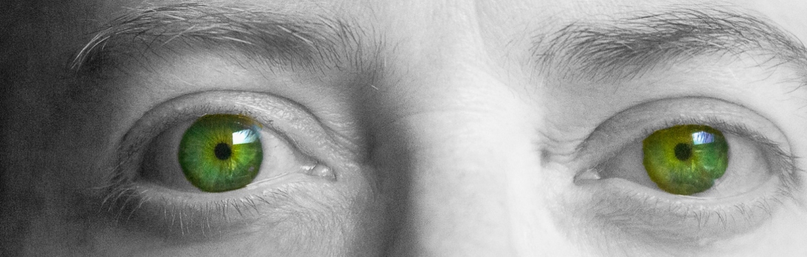 A black and white picture of the very centre of a face with piercing green eyes in colour and the bridge of the nose visible