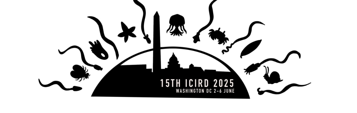 15th ICIRD 2025