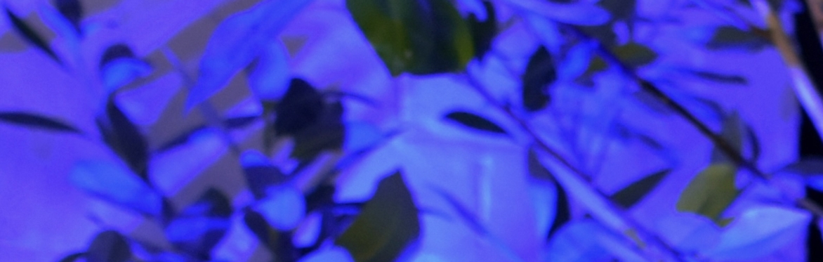 Abstract blue texture