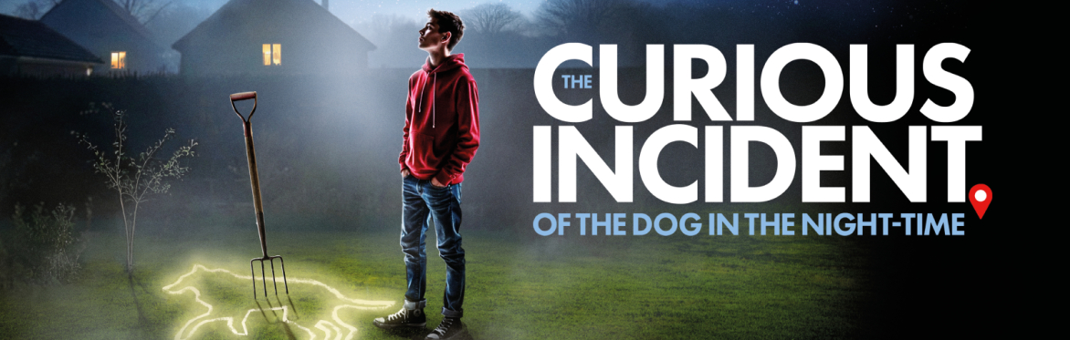 The Curious Incident of the Dog in the Night-Time
