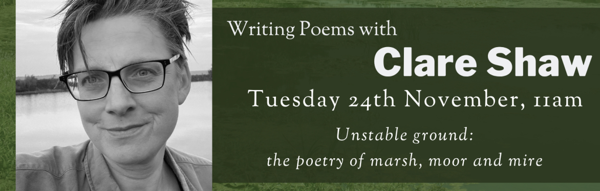 Online Workshop: Unstable ground: the poetry of marsh, moor and mire with Clare Shaw