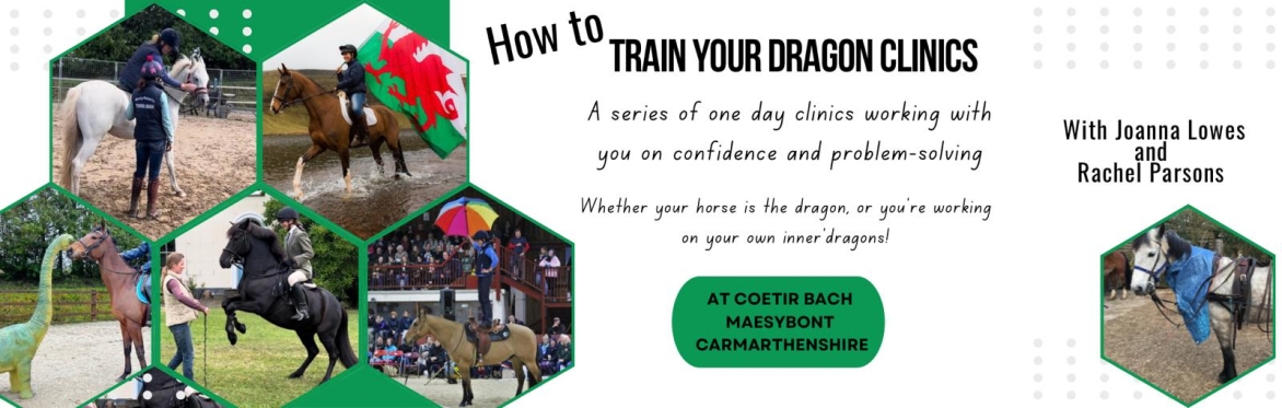 How to Train Your Dragon: Principles of Horsemanship and General Practice
