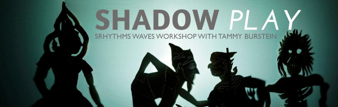 SHADOW PLAY