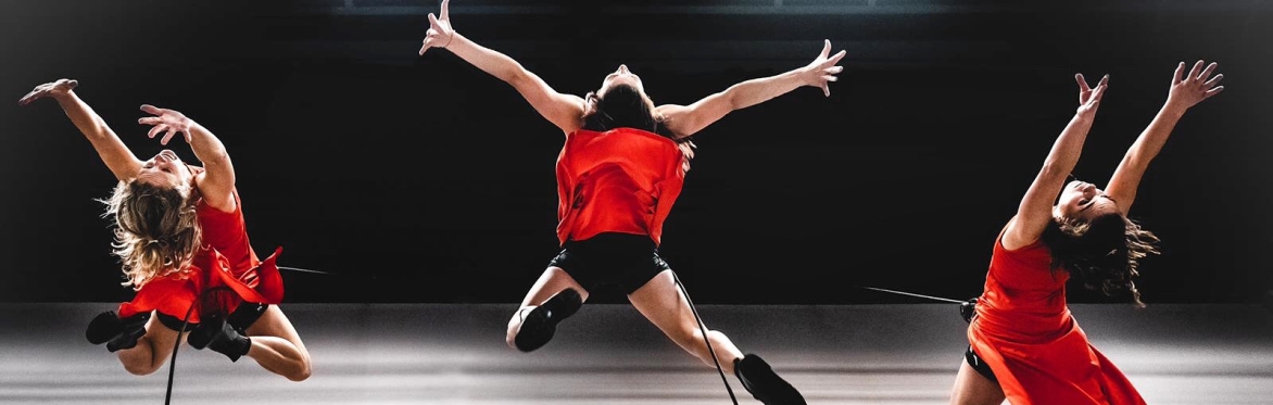 Off The Wall Aerial Dance Image Credit: Dan Martin