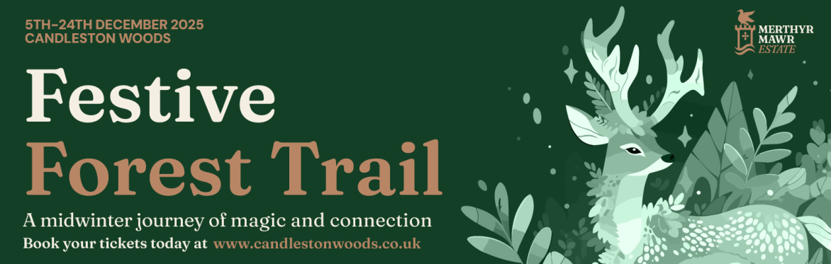 Festive Forest Trail