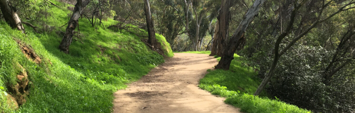 Elysian Park & Heights + Echo Park – 5.5-mile ramble (rescheduled)