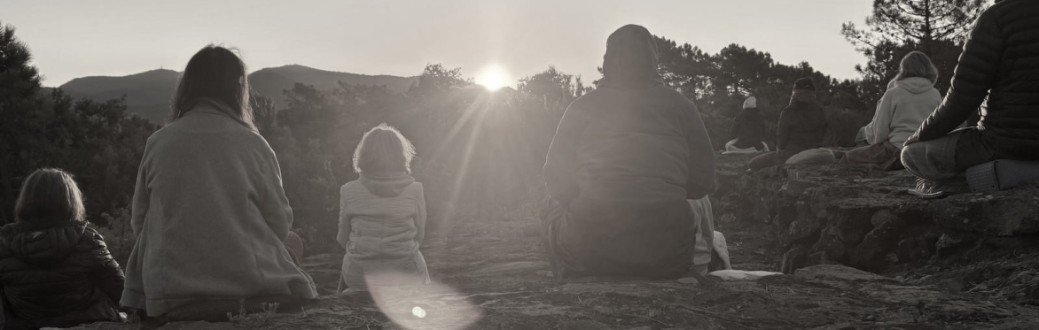 Familiekonstellasjon m/ Steffen Rostock
