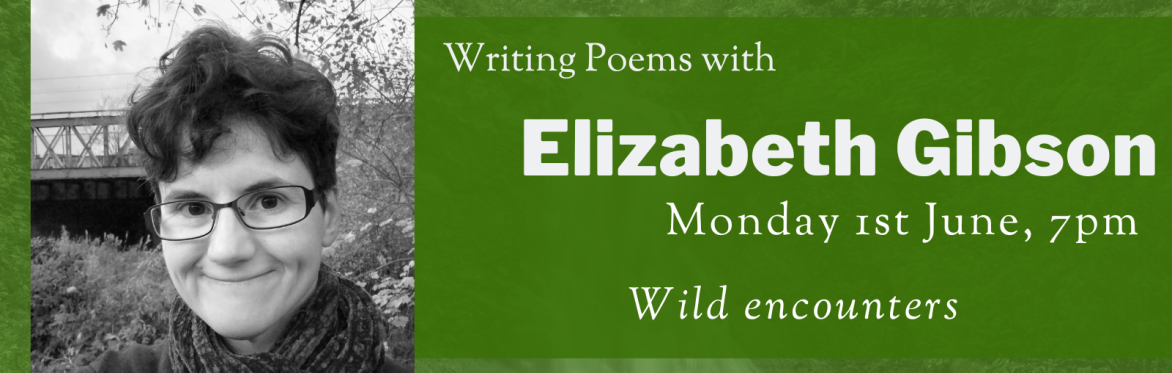 Online Workshop: Wild Encounters with Elizabeth Gibson