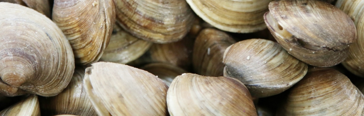 Dave's House of Clams (FREE)