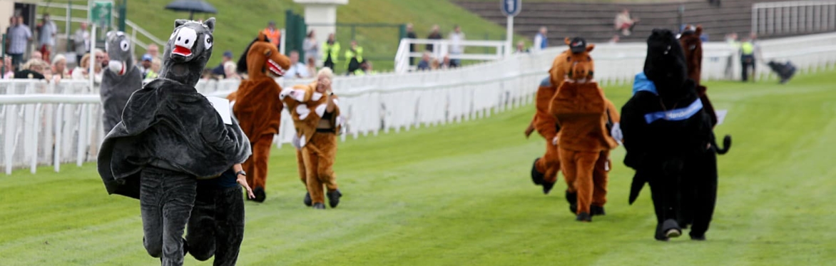 Pantomime Horse Race - Chester Racecourse 2026