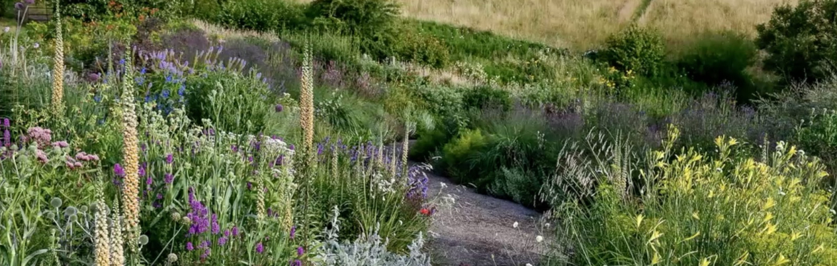 Jared Barnes on Planting with Perception