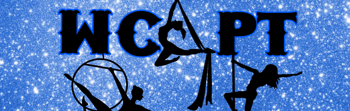 The Westcountry Aerial & Pole Tournament