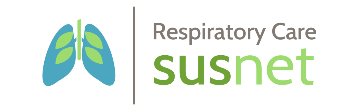 How can a visual guide support high quality and low carbon asthma reviews?