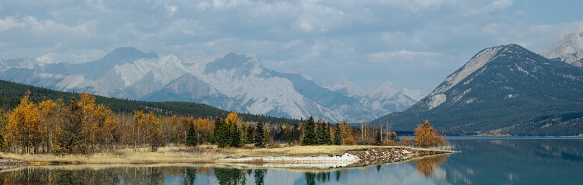 Autumn wonders at Abraham, Photography Workshop